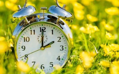 Understanding the Summer Time Act 1972: When to Change Your Clocks